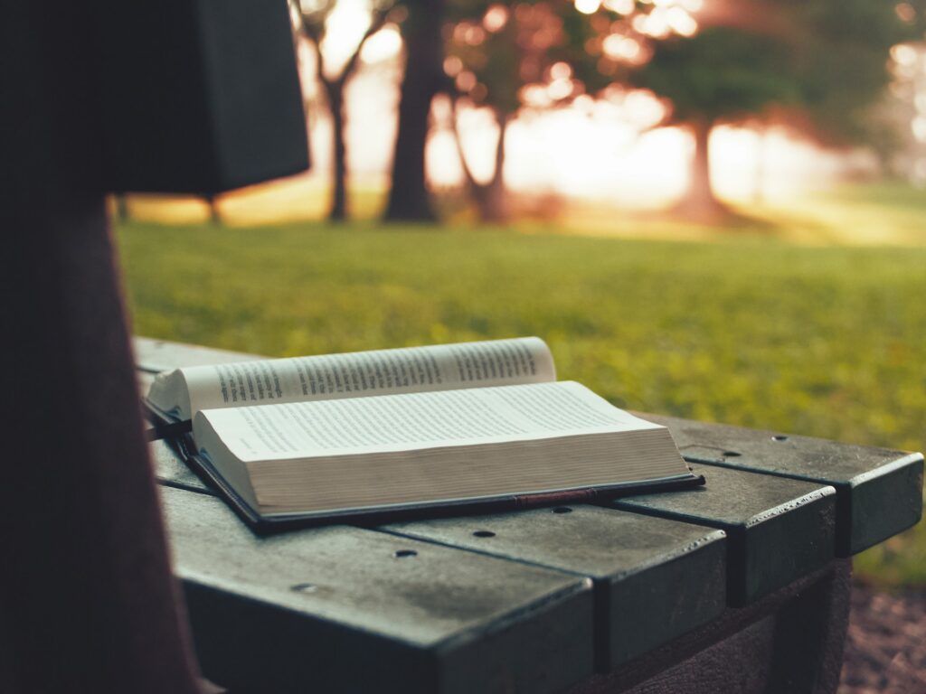 aaron-burden-ttK9EJGafjQ-unsplash
