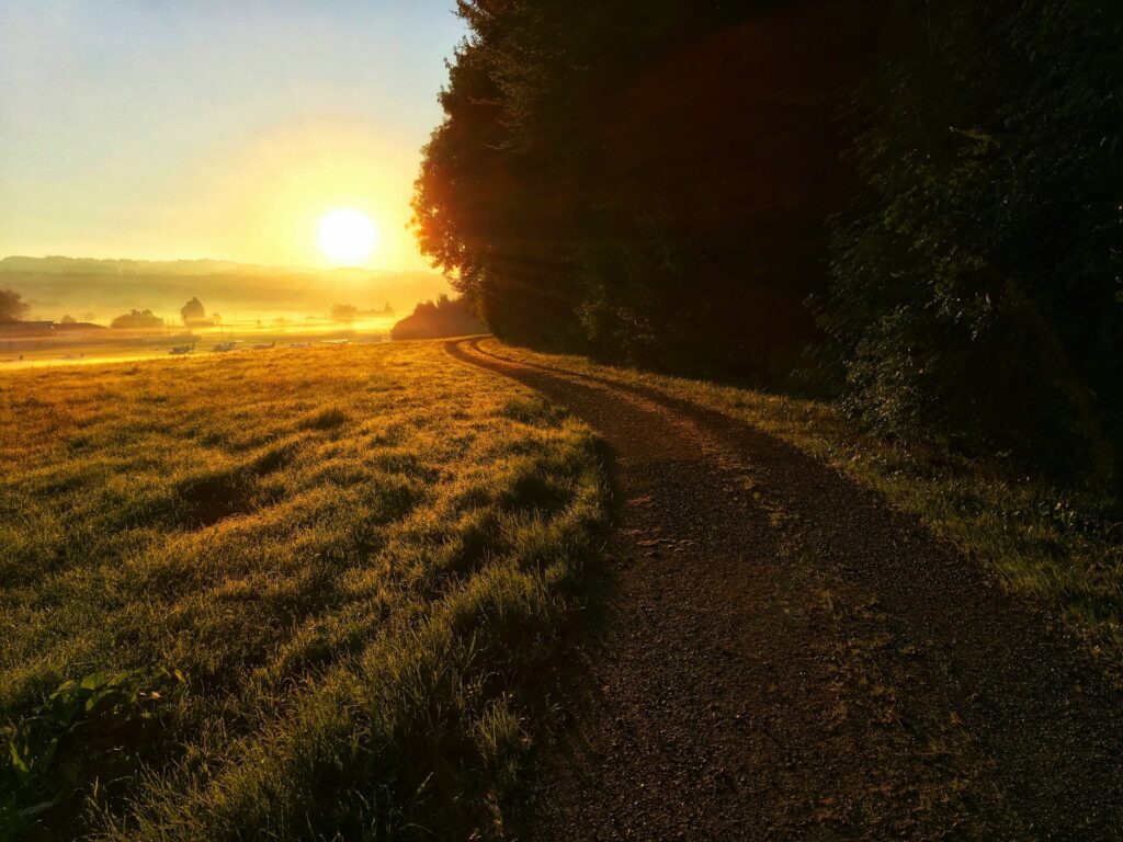 jan-huber-bY8MY2lIrFg-unsplash
