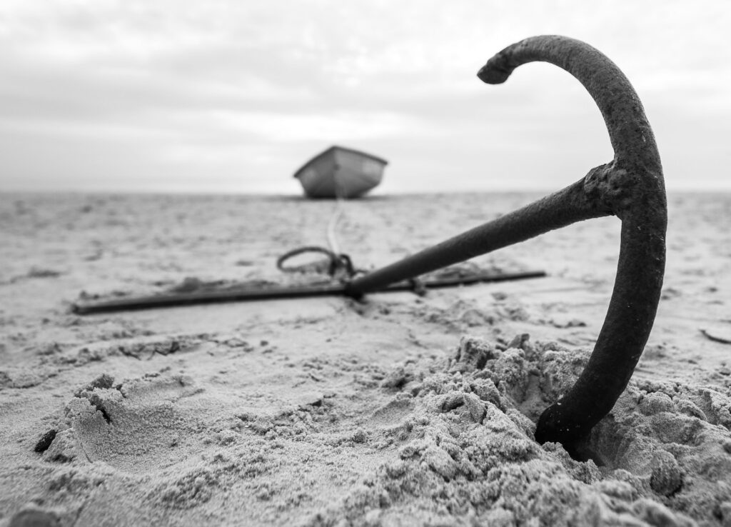 armands-brants-BX8w_quWj_c-unsplash